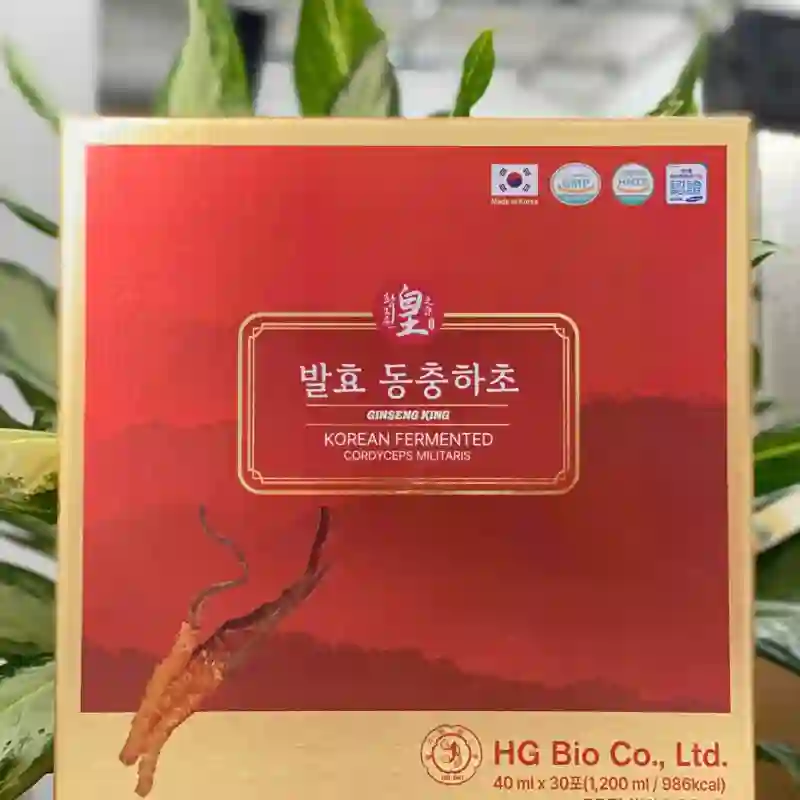 Tinh chất Đông Trùng Hạ Thảo lên men Hàn Quốc