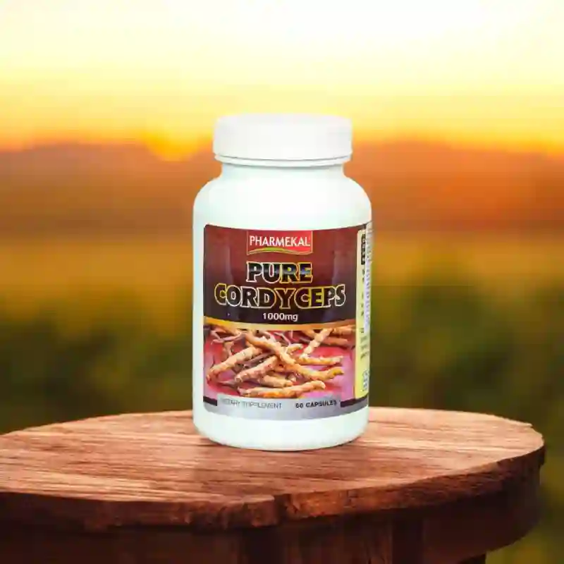 Đông Trùng Hạ Thảo - USA (viên uống)